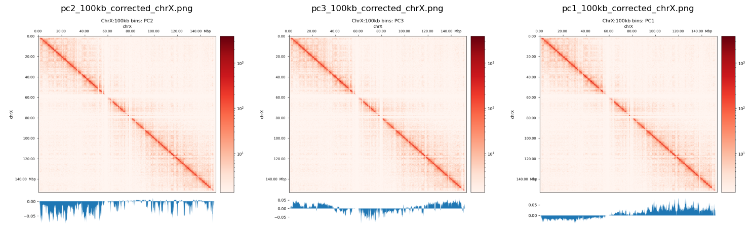 The X chromosome in 100kb bins and the first 3 PCs below. Made with HicExplorer.