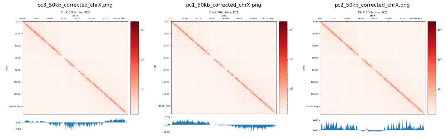 The X chromosome in 50kb bins and the first 3 PCs below. Made with HicExplorer.