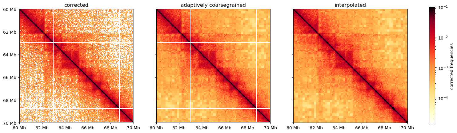 Normal, smoothed, and interpolated views of the interaction matrix. Functions provided by cooltools.