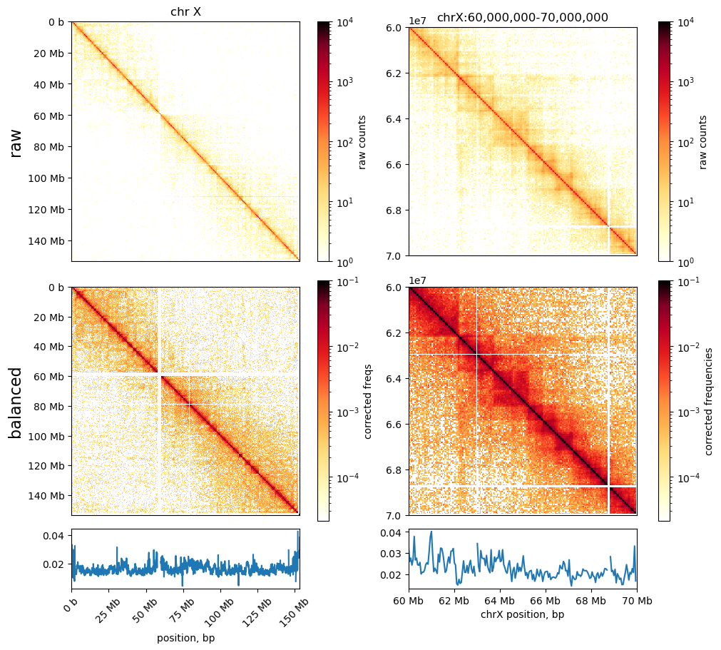 Rep1 interaction matrix with weights visualized. Top: raw counts. Bottom: corrected frequencies. Left: whole chrX. Right: chrX60:70Mb