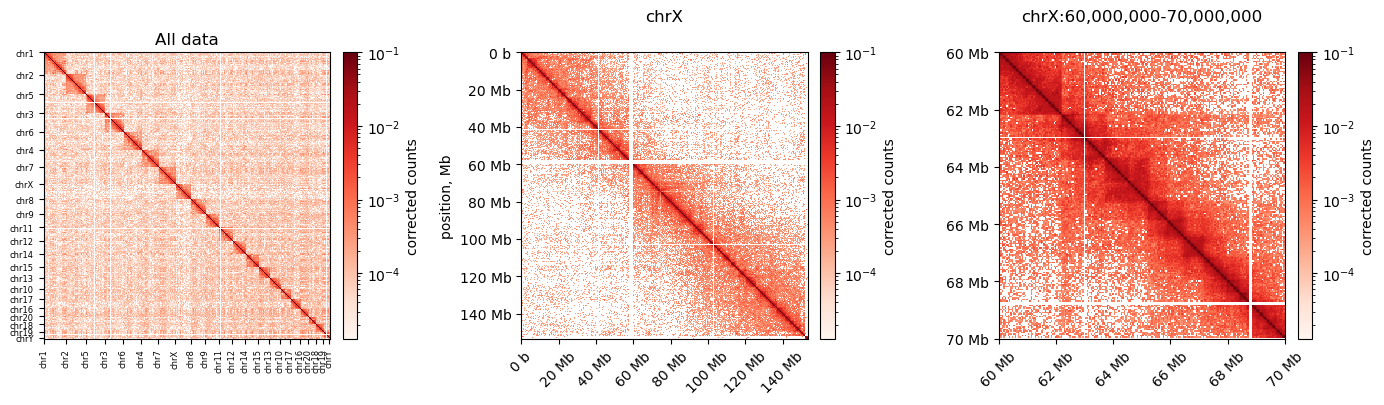 Corrected matrix. Left: All chromosomes plotted in 100kb bins. Middle: chrX in 100kb bins. Right: chrX:60Mb-70Mb in 50 kb bins