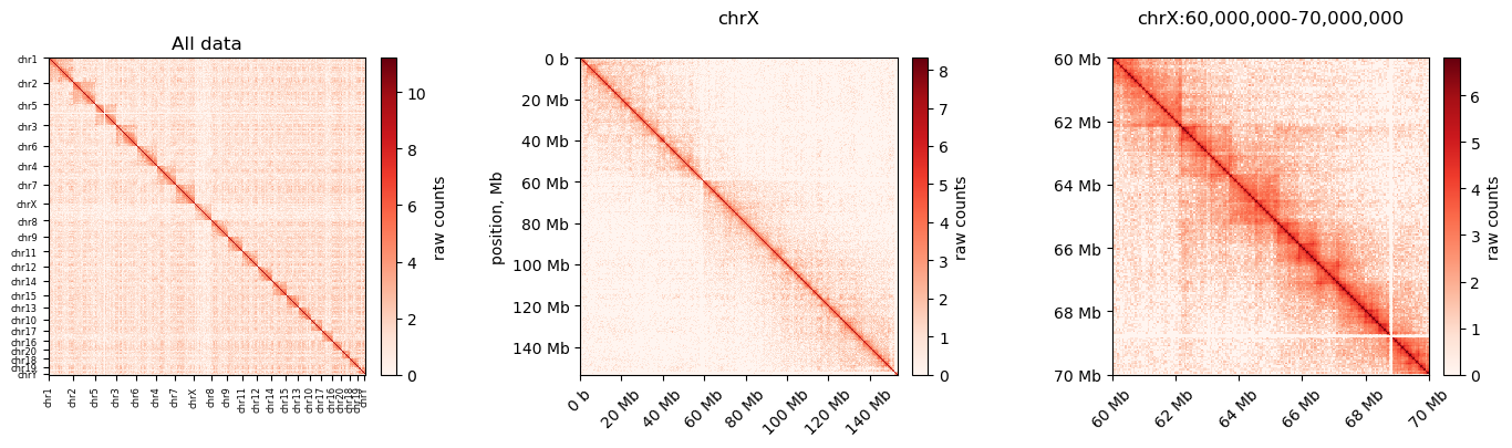 Raw matrix. Left: All chromosomes plotted in 100kb bins. Middle: chrX in 100kb bins. Right: chrX:60Mb-70Mb in 50 kb bins